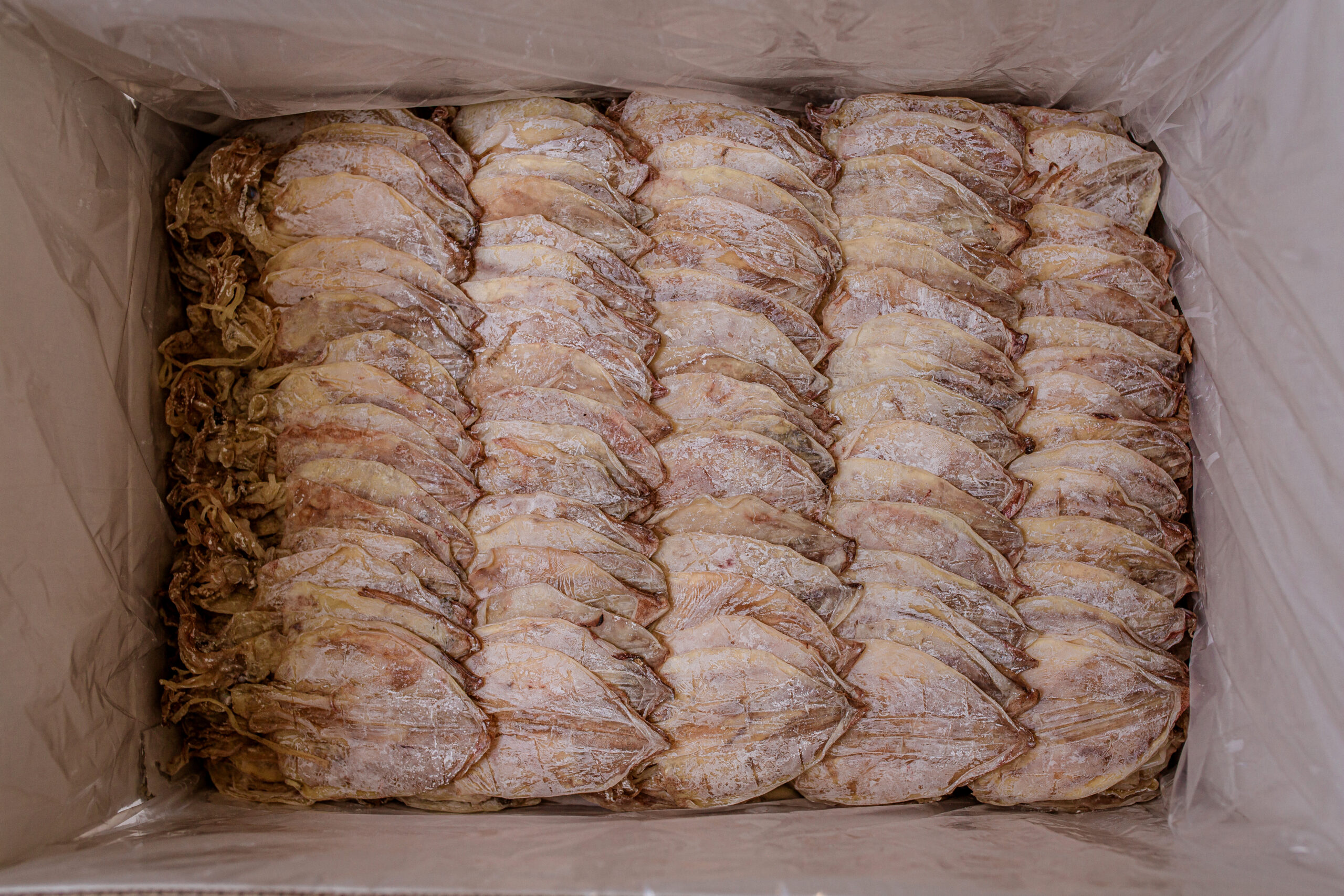 Khô mực 50 con/kg